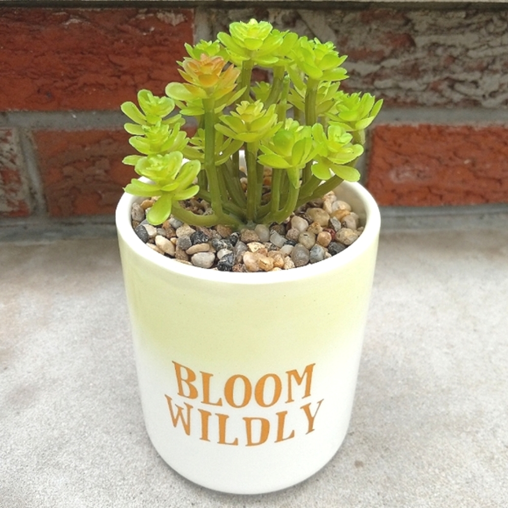 BLOOM WILDLY Inspirational Faux Potted Succulent Plant